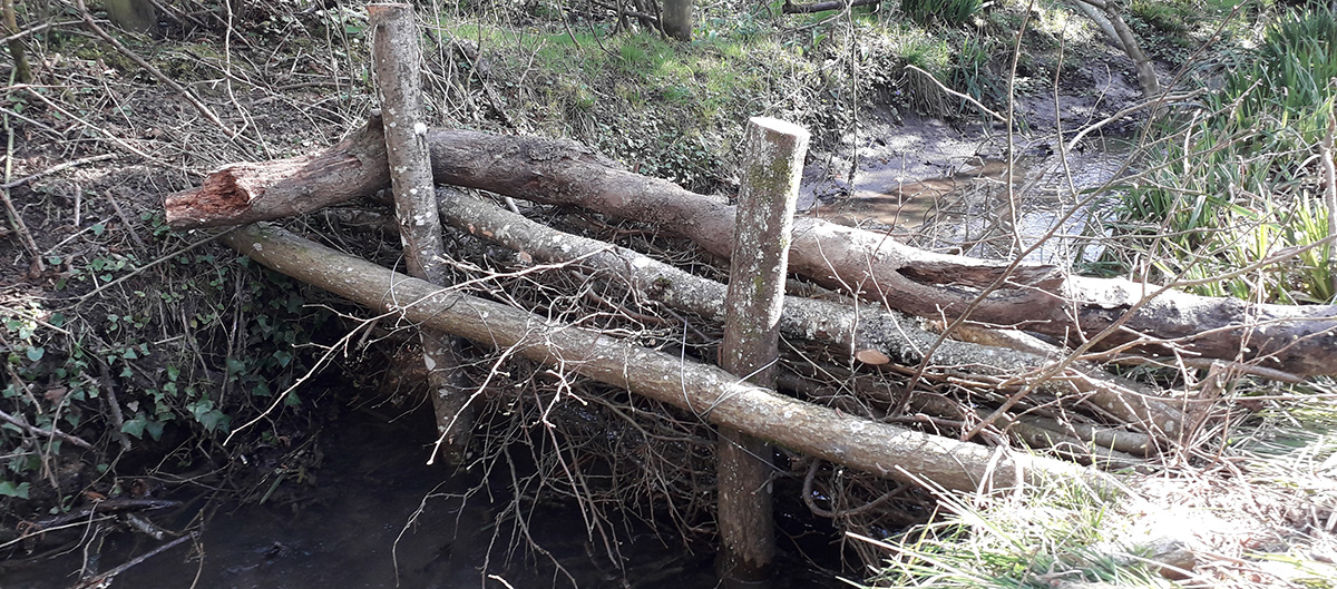 Example of a dam in Beesmoor Brook