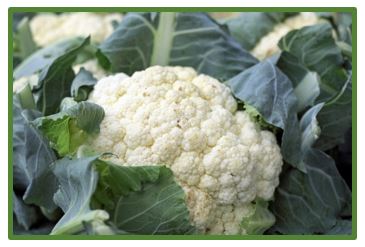 Cauliflower