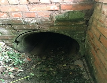 Culvert or Trash Screen