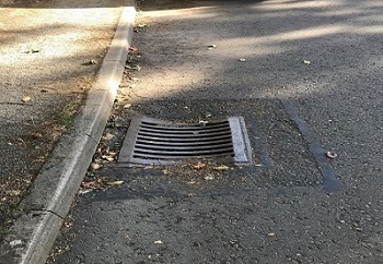 Gully or drain