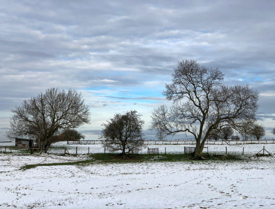 A snow scene of Kempsey Common Worcestershire
