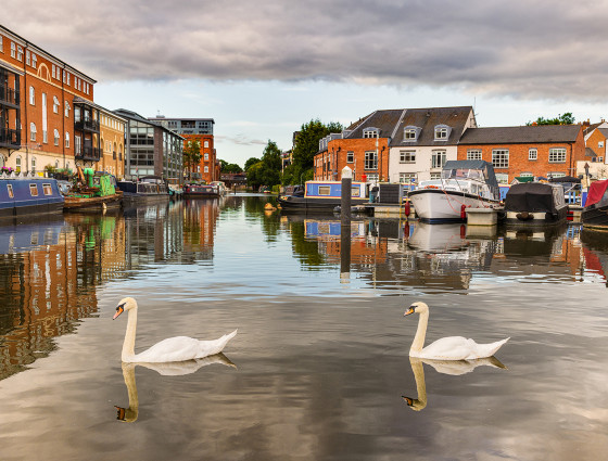Diglis canal basin with two swans swimming past