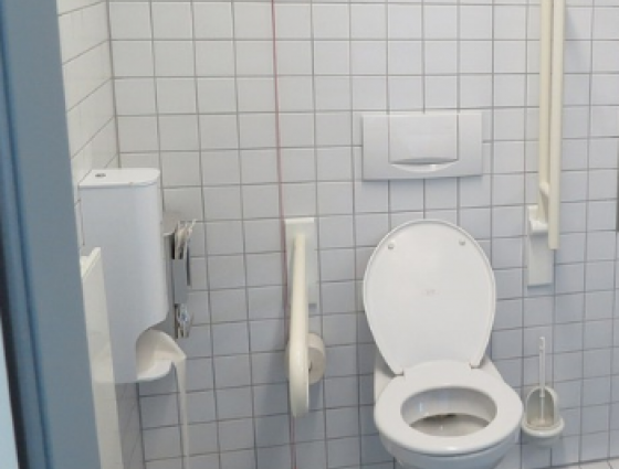toilet with handrails for assistance