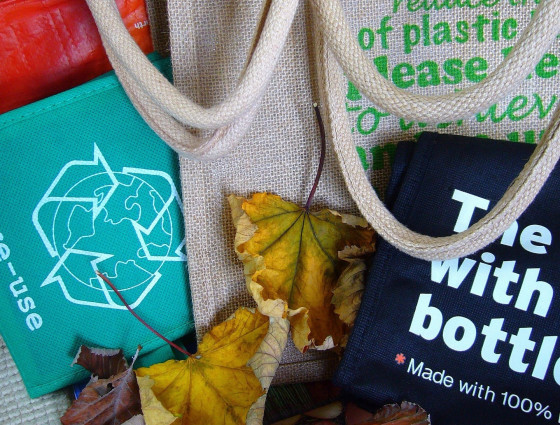 A collection of reusable shopping bags.