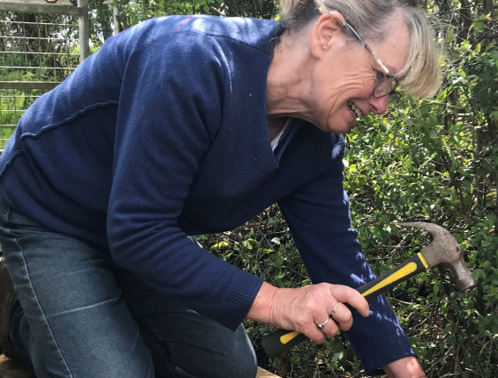 Volunteer using a hammer