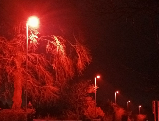 Bat lighting at Fernhill Heath