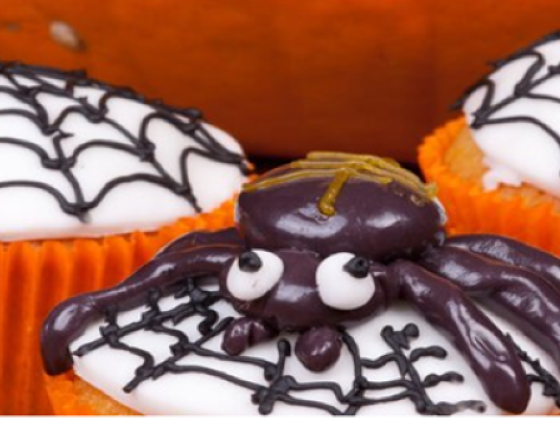 Cupcakes with spiders web pattern and icing spider on top