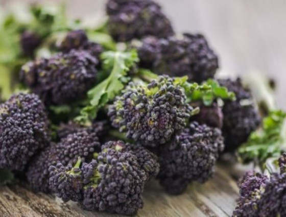 Plate of purple sprouting brocolli