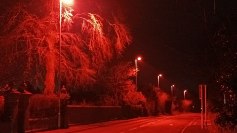 Photograph of LED bat lights in Warndon Villages 