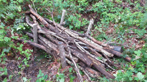 Pile of logs used as Natural Flood Management
