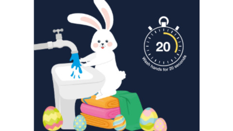 Bunny washing hands