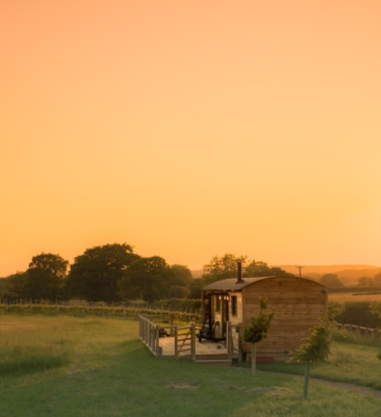 Shepherd hut at Wagtail Retreat, Hallow, which overlooks the vineyard.
