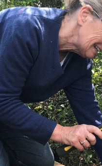 Volunteer using a hammer