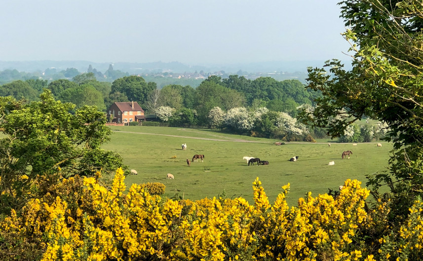A field scene in Kempsey Worcestershire