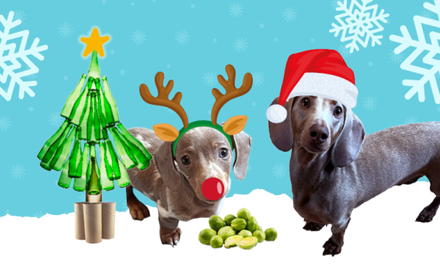 Christmas Waste Santapaws and Rudog